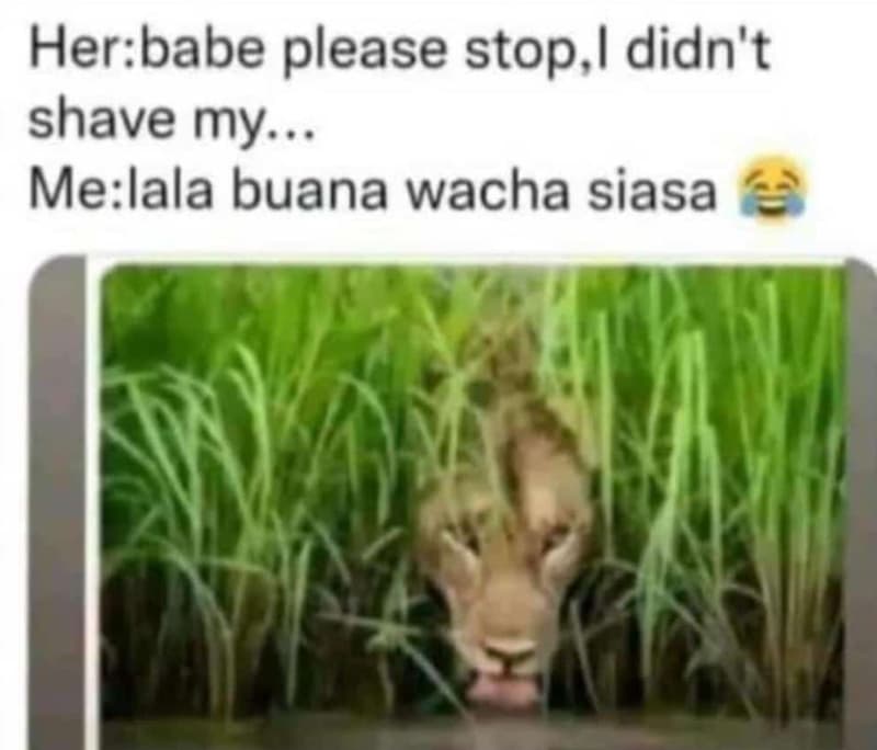 Herbabe please stop, didn't shave my. melala buana wacha siasa