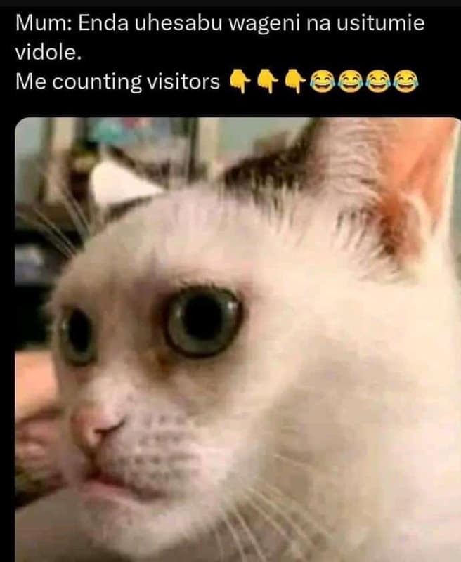 Mum enda uhesabu wageni na usitumie vidole. me counting visitors