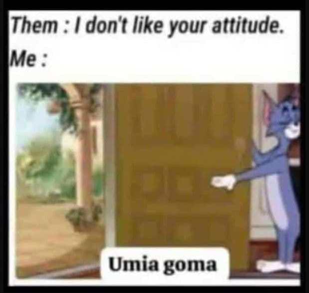 Them don't like your attitude. me umia goma