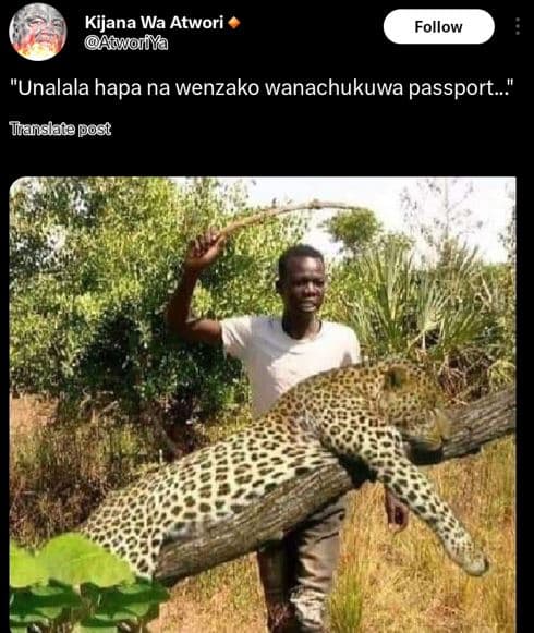 Kijana wa atwori aqworfya follow unalala hapa na wenzako wanachukuwa passport .