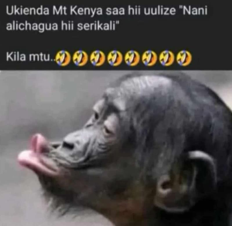 Ukienda mt kenya saa hii uulize nani alichagua hii serikali kila mtu mommop
