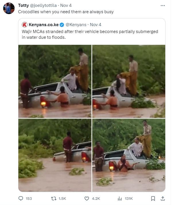 Totty joellytottila nov crocodiles when you need them are always busy kenyans. c