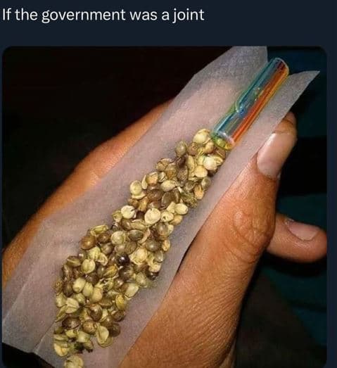 If the government was a joint