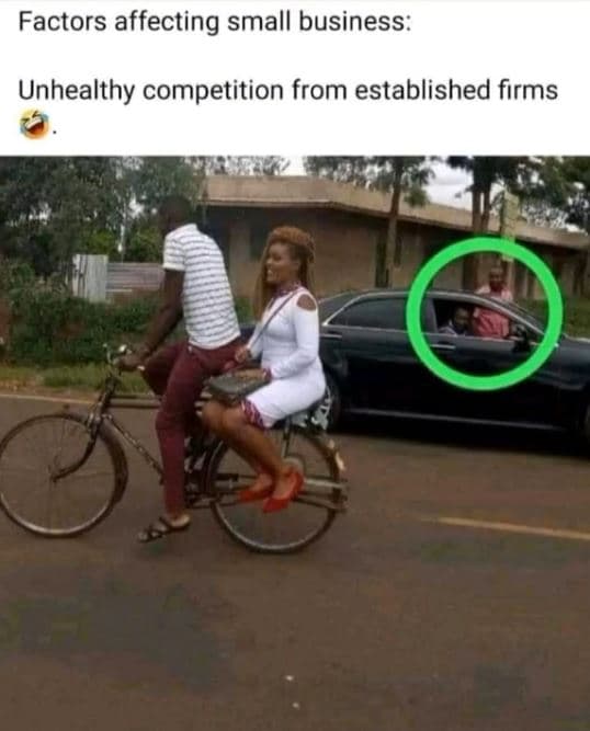 Factors affecting small business unhealthy competition from established firms