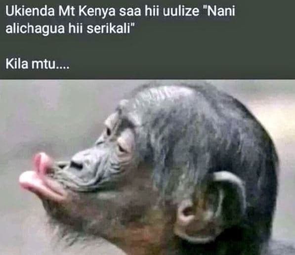 Ukienda mt kenya saa hii uulize nani alichagua hii serikali kila mtu.