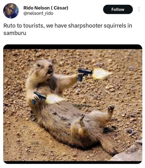 Rido nelson cèsar nelsont_rido follow ruto to tourists, we have sharpshooter squ