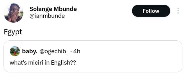 Solange mbunde ianmbunde follow egypt baby. ogechib 4h what's miciri in english?