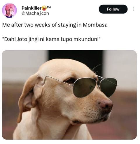 Painkiller macha_icon follow me after two weeks of staying in mombasa dah! joto