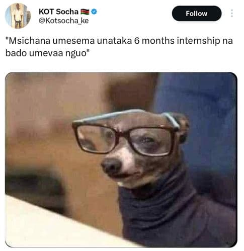 Kot socha kotsocha ke follow msichana umesema unataka 6 months internship na bad