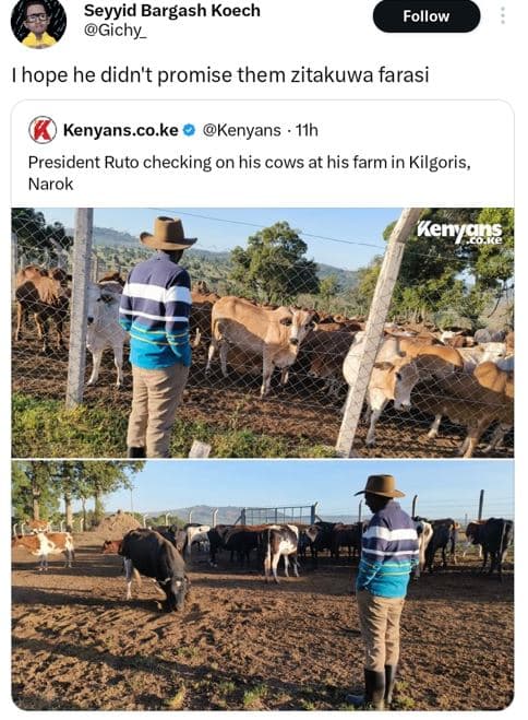 Seyyid bargash koech gichy _ follow hope he didn't promise them zitakuwa farasi