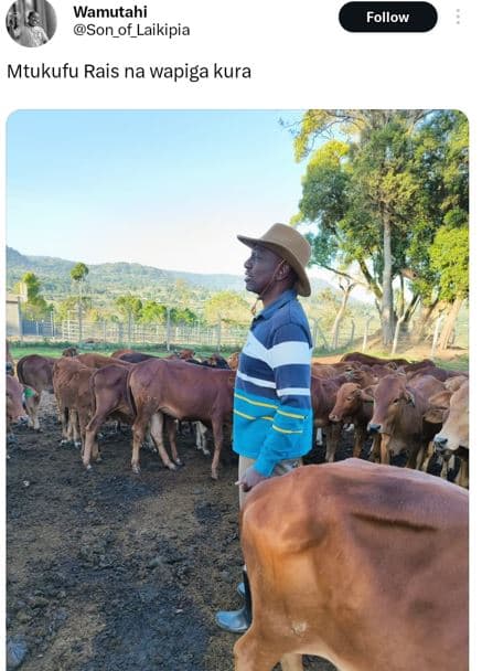 Wamutahi son_of_laikipia follow mtukufu rais na wapiga kura