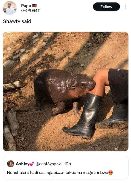 Papa kplgat follow shawty said ashley ashl3yspov 12h nonchalant hadi saa ngapi_