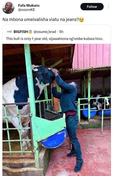Fafa mukuru osoroke follow na mbona umeivalisha viatu na jeans? bigfish osumo_br