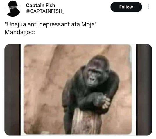 Captain fish captainfish follow unajua anti depressant ata moja mandagoo
