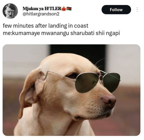 Mjukuu ya h!tler hitlergrandson2 follow few minutes after landing in coast mekum