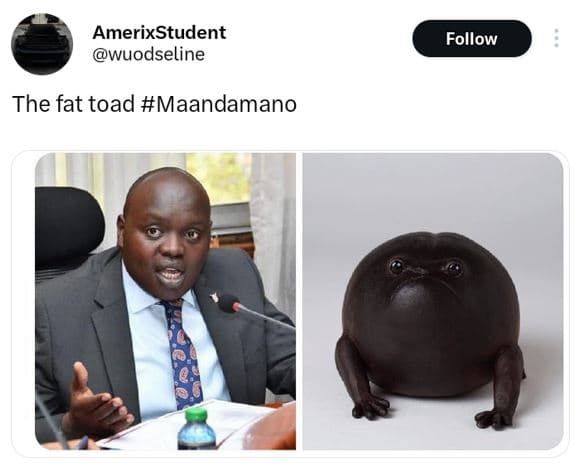 Amerixstudent wuodseline follow the fat toad maandamano