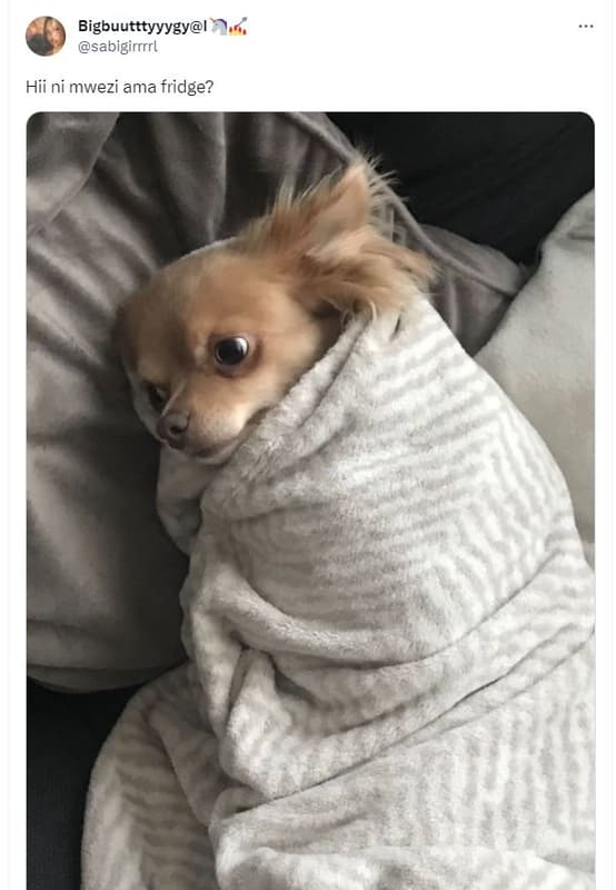 Bigbuutttyyygyl sabigirrrrl hii ni mwezi ama fridge?