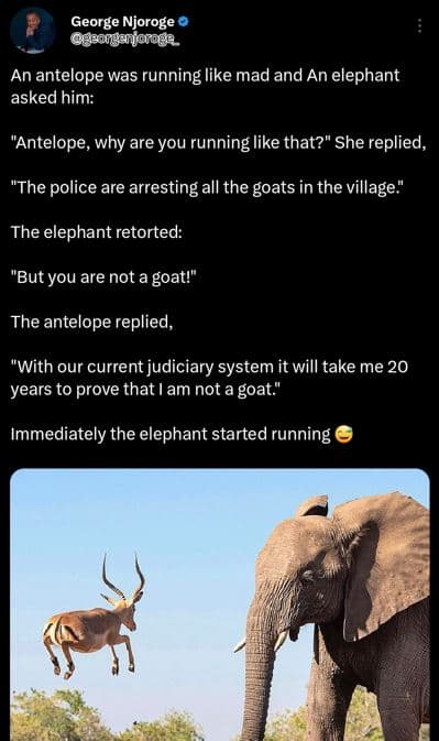 George njoroge 06508anioro8n an antelope was running like mad and an elephant as