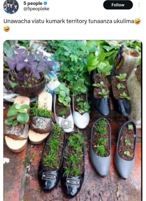 5 people 5peopleke follow unawacha viatu kumark territory tunaanza ukulima