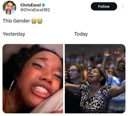 Chrisexcel chrisexcel102 follow this gender 06 yesterday today