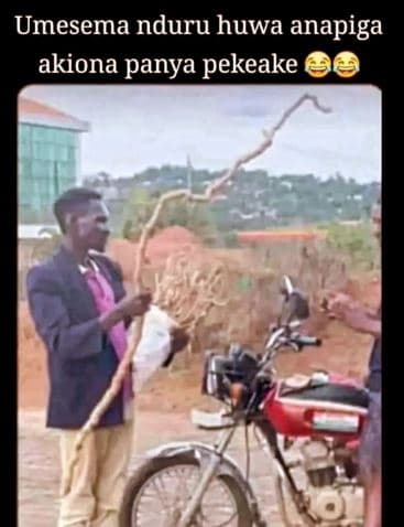 Umesema nduru huwa anapiga akiona panya pekeake