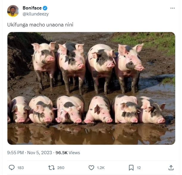 Boniface kilundeezy ukifunga macho unaona nini 2 9.55 pm nov 5, 96.5k views 183