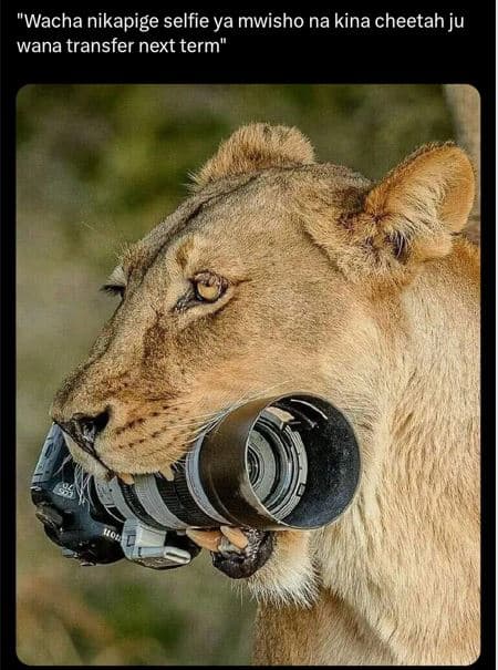 'wacha nikapige selfie ya mwisho na kina cheetah ju wana transfer next term