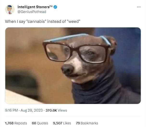 Intelligent stoners m geniuspothead when say cannabis instead of weed 9.16 pm .