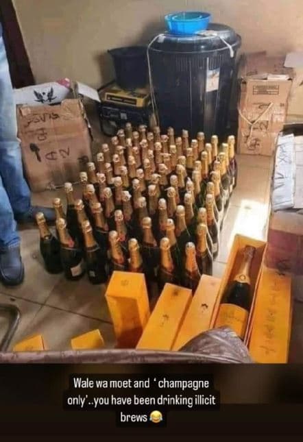 372 6 tav wale wa moet and ' champagne only' you have been drinking illicit brew