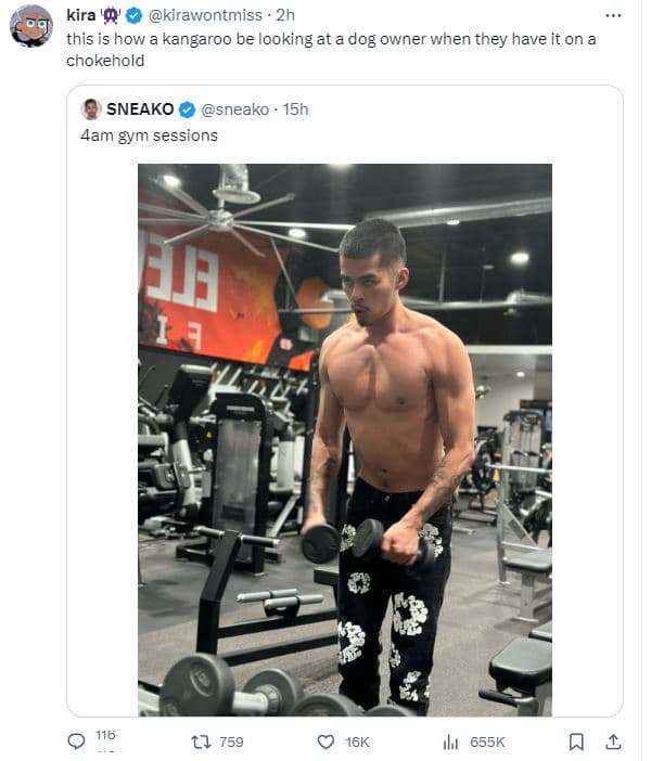 Kira kirawontmiss 2h this is how kangaroo be looking at a dog owner when they ha