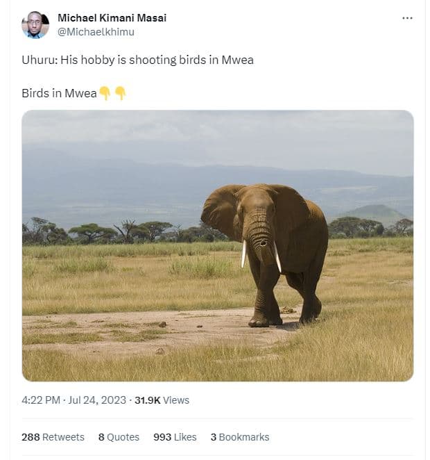 Michael kimani masai michaelkhimu uhuru his hobby is shooting birds in mwea bird