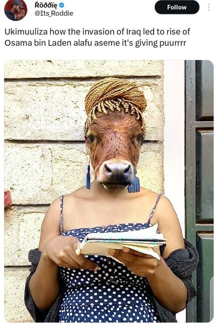 Rãddię its roddie follow ukimuuliza how the invasion of iraq led to rise of osam