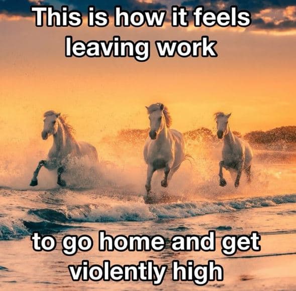This is how it feels leaving work to go home and get violently high