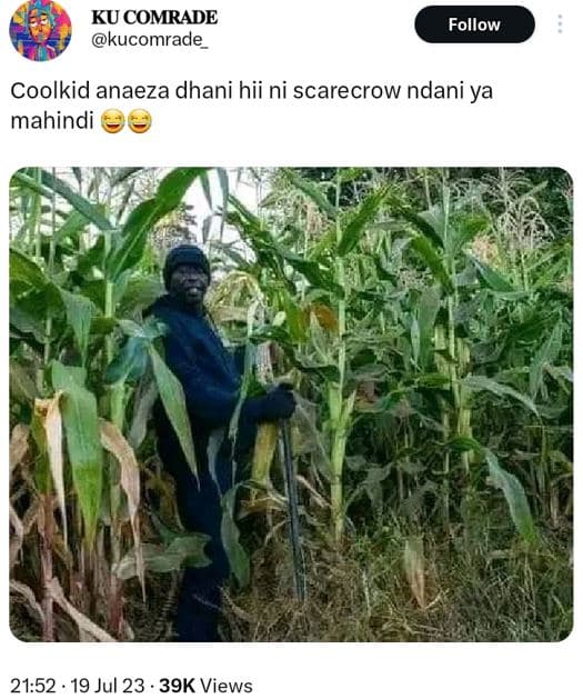 Ku comrade kucomrade follow coolkid anaeza dhani hii ni scarecrow ndani ya mahin
