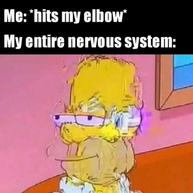 Me 'hits my elbow my entire nervous system