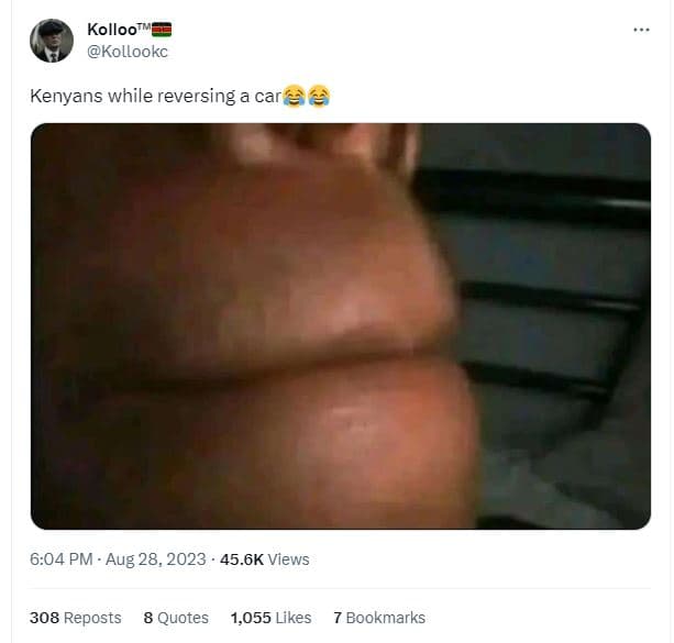Kolloo kollookc kenyans while reversing a cara 2 6.04 pm aug 28, 45.6k views 308