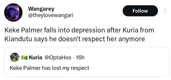 Wangarey theylovewangari follow keke palmer falls into depression after kuria fr