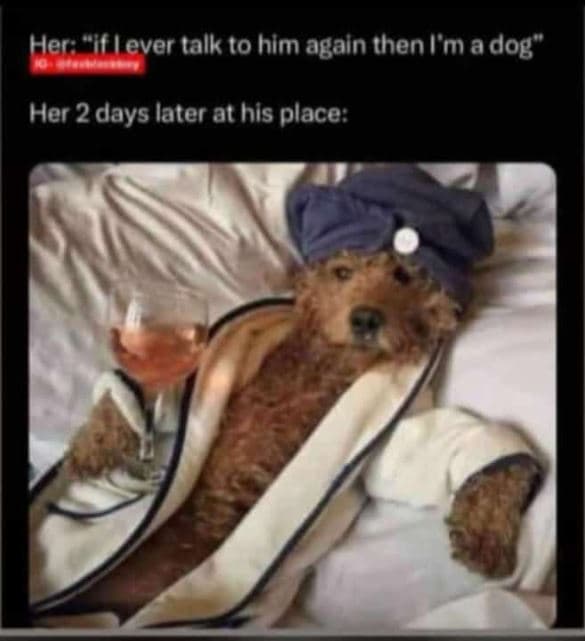 Herif l ever talk to hlm again thenlm adog her 2 days later at his place