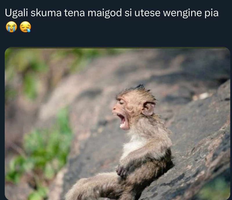 Ugali skuma tena maigod si utese wengine pia