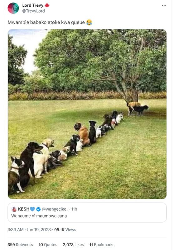 Lord trevy trevylord mwambie babako atoke kwa queue kesh wangecike i1h wanaume n