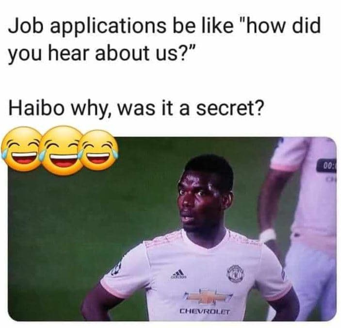Job applications be like how did you hear about us? haibo why was it a secret? 0