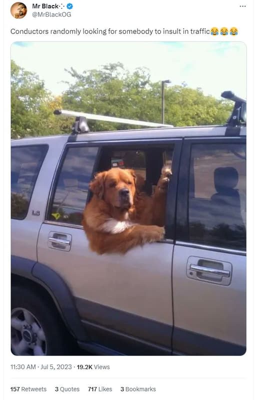 Mr black . mrblackog conductors randomly looking for somebody to insult in traff