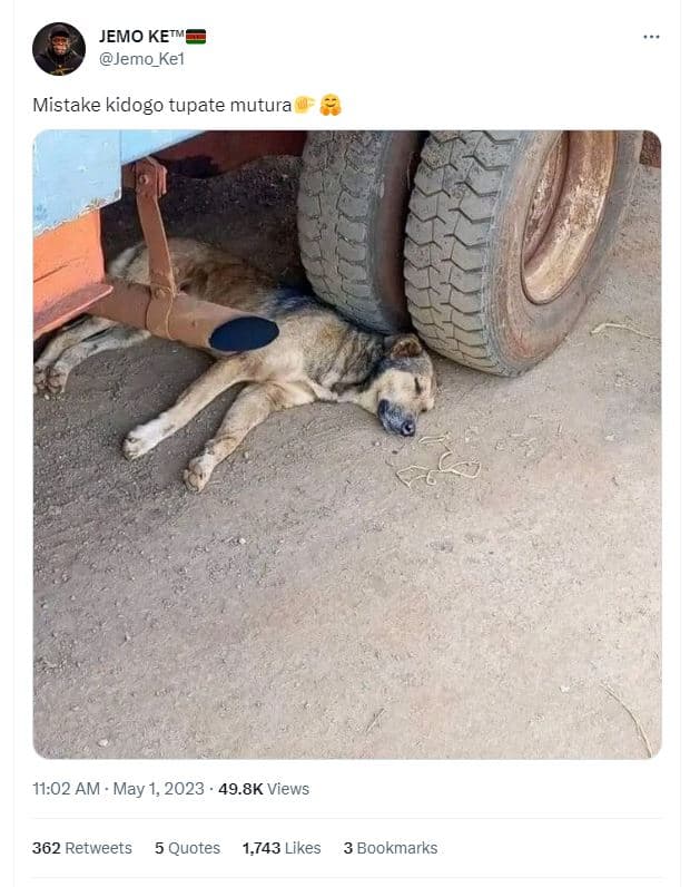 Jemo ketm jemo_kel mistake kidogo tupate mutura 11.02 am may 1, 49.8k views 362