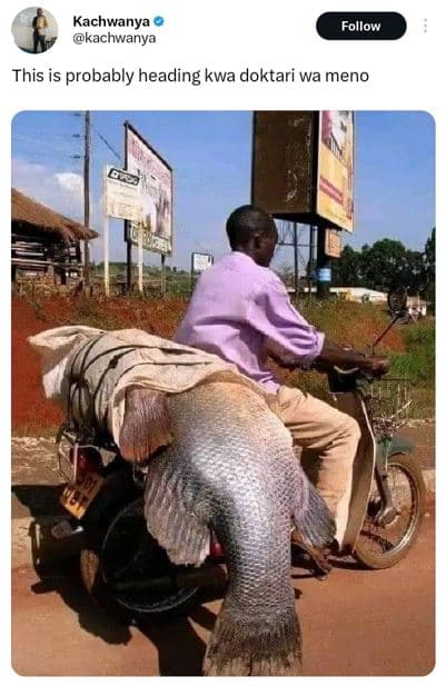 Kachwanya kachwanya follow this is probably heading kwa doktari wa meno