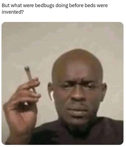 But what were bedbugs doing before beds were invented?