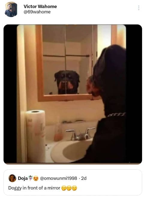 Victor wahome 69wahome doja omowunmi1998 2d doggy in front of a mirror