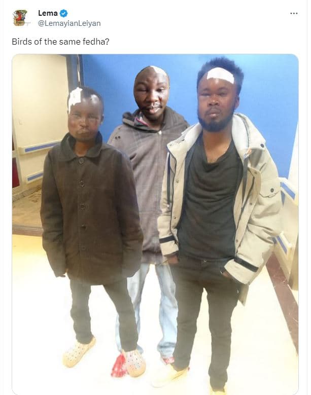 Lema lemayianleiyan birds of the same fedha?