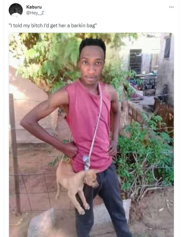 Kaburu hey_z told my bitch id get her a barkin bag