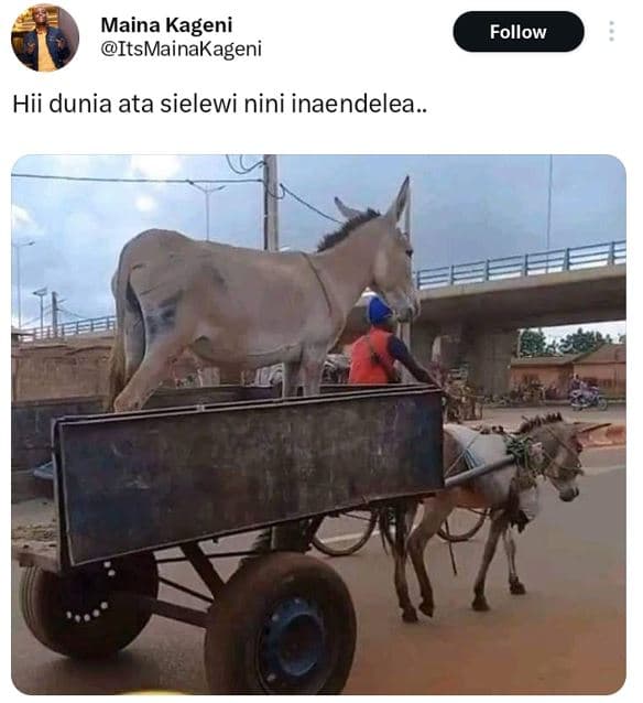 Maina kageni itsmainakageni follow hii dunia ata sielewi nini inaendelea .