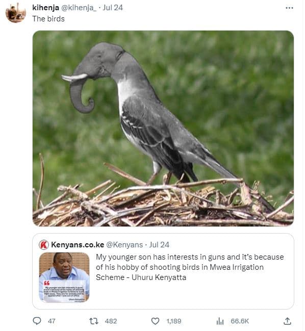 Kihenja kihenja jul 24 the birds kenyans.co.ke kenyans jul 24 my younger son has